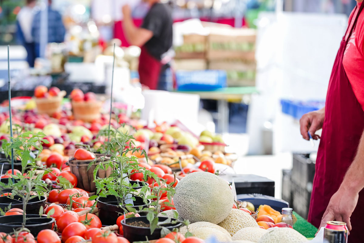 Marchés de producteurs et circuits courts